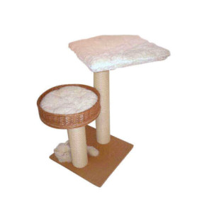 Kratzbaum- Wismar