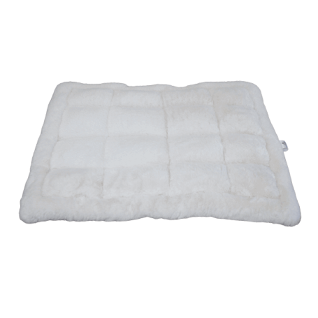 Coussin maison de chat