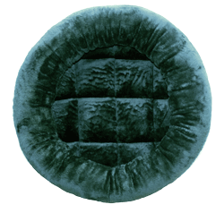 micro